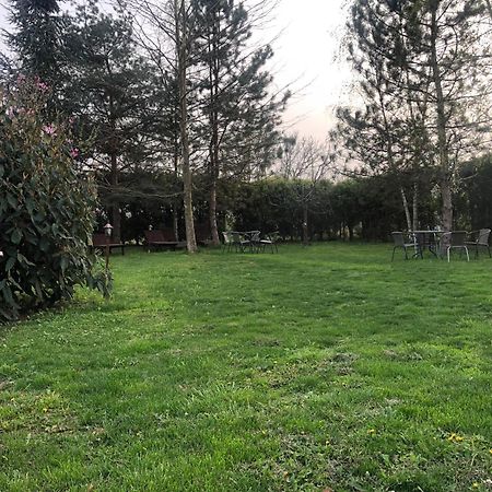 Argeselu Garden Villa - Entire Floor Apartment, Exclusive Garden Access Maracineni Exterior foto