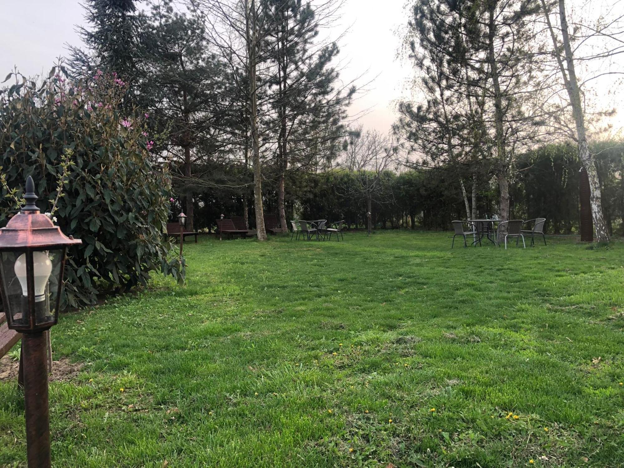 Argeselu Garden Villa - Entire Floor Apartment, Exclusive Garden Access Maracineni Exterior foto