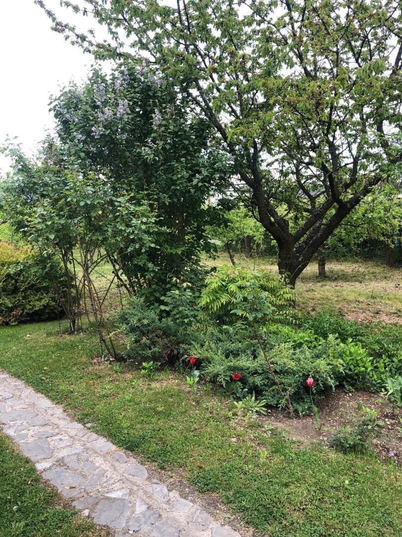 Argeselu Garden Villa - Entire Floor Apartment, Exclusive Garden Access Maracineni Exterior foto