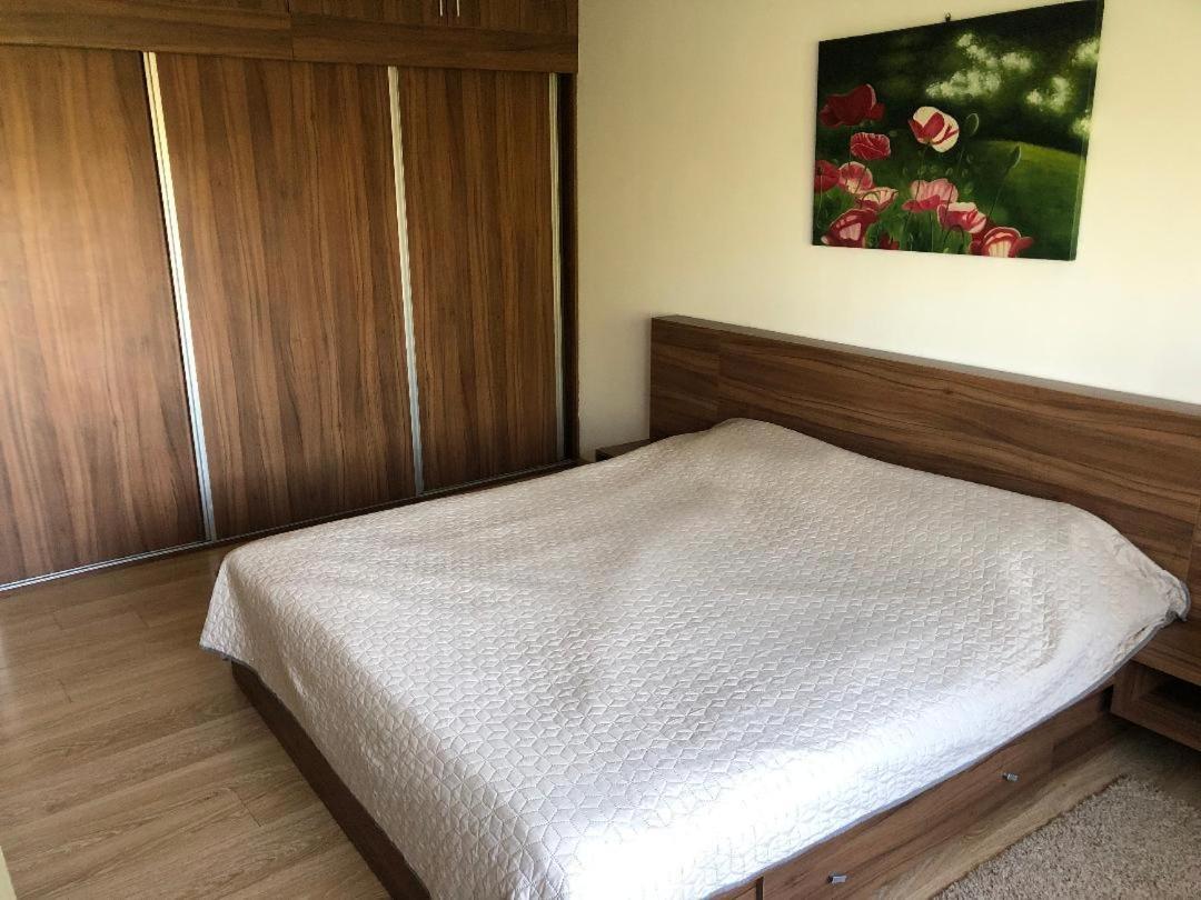 Argeselu Garden Villa - Entire Floor Apartment, Exclusive Garden Access Maracineni Exterior foto